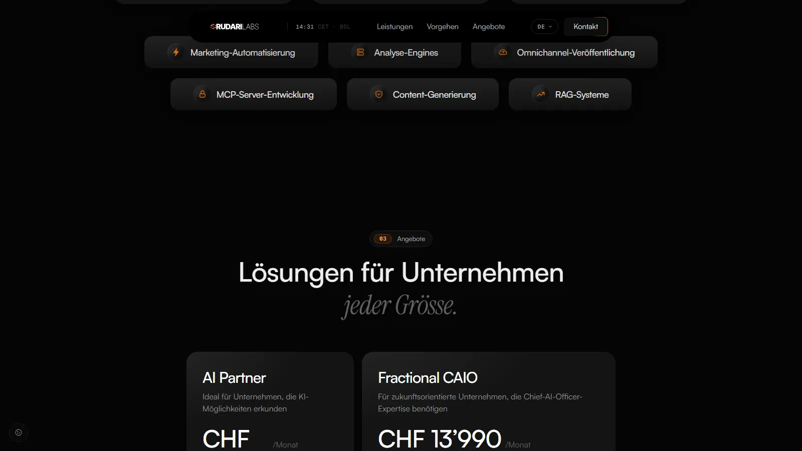 Rudari Labs — Angebote